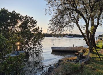 australia/jervis-bay/attraction/jervis-bay-mangrove-boardwalk