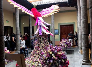 ecuador/ambato/attraction/museo-l-edmundo-martinez-mera