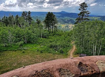 south-dakota/spearfish-canyon/attraction/mount-roosevelt-friendship-tower