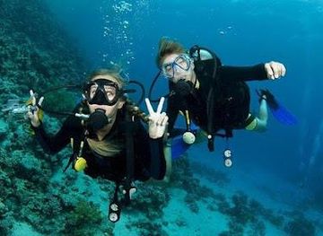 indonesia/bali/attraction/bali-diving