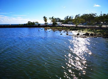 florida/key-largo/attraction/harry-harris-beach-view-point