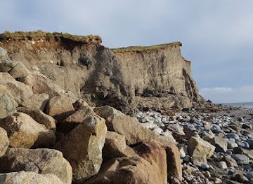 ireland/salthill/attraction/barna-woods