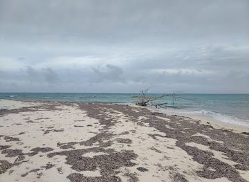 turks-and-caicos-islands/south-caicos/attraction/boaby-rock-point-snorkeling