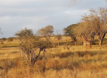 kenya/kilimanjaro-region/attraction/lumo-community-wildlife-conservancy