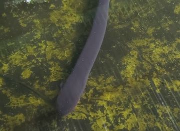 colombia/leticia/attraction/ecoparque-etuena