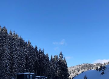 ukraine/bukovel/attraction/dog-sledding