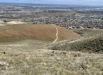 washington/the-tri-cities/attraction/badger-mountain-centennial-preserve