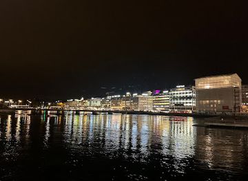 switzerland/geneva/attraction/stephen-s-fountain