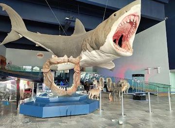 mexico/puebla/attraction/museo-de-la-evolucion-puebla