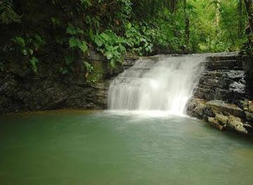 costa-rica/manuel-antonio/attraction/hacienda-ebano