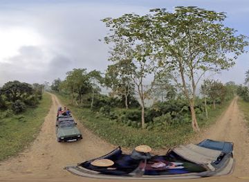 india/kaziranga-national-park/attraction/donga-watch-tower