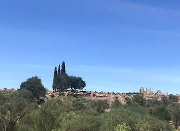 morocco/moulouya/attraction/site-archeologique-de-volubilis