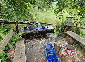 austria/millstatter-see/attraction/alpaka-platz