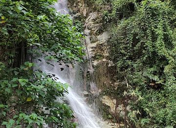 malaysia/penang-island/attraction/hidden-waterfall-changkat-tembaga
