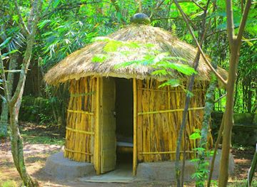 rwanda/gishwati-mukura-national-park/attraction/la-cabane-africaine