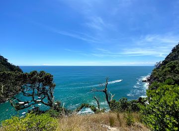 Moutohora Island Sanctuary tours