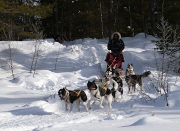 norway/hedmark/attraction/mountain-king-s-sledehundkennel