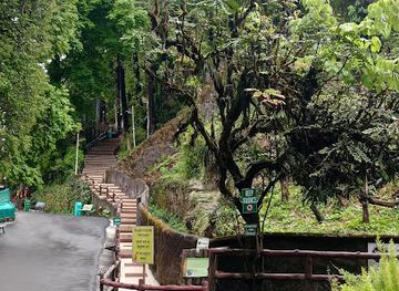 india/darjeeling/batasia-loop/attraction/padmaja-naidu-himalayan-zoological-park