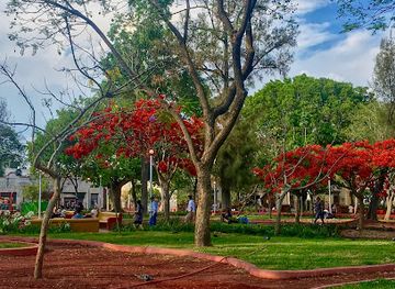 mexico/guadalajara/attraction/parque-revolucion-parque-rojo