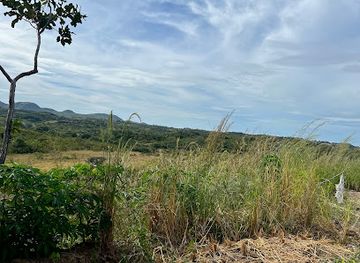 panama/veraguas/attraction/ave-la-yheimy