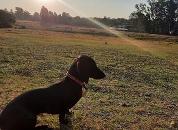 zimbabwe/mashonaland-central/attraction/the-wag-zone