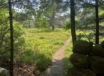 rhode-island/arcadia-management-area/attraction/duval-trail-head