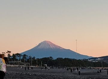japan/suruga/attraction/ohama-park
