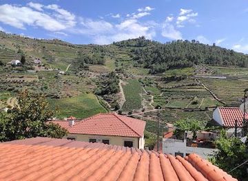 portugal/vila-real/attraction/wine-soul