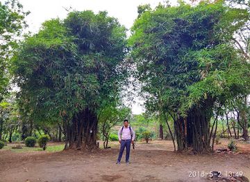 nepal/chitwan/attraction/shantikunja-park