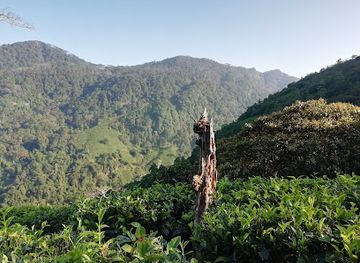 sri-lanka/kegalle-district/attraction/goodwill-estate-ltd