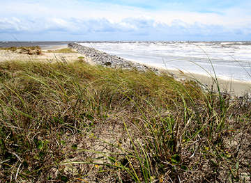 south-carolina/sea-islands/attraction/waties-island-south-carolina