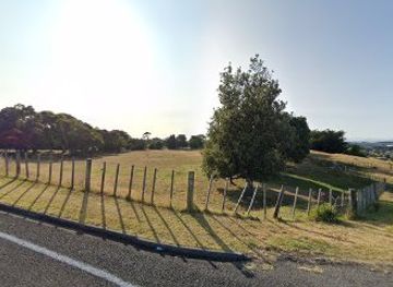 new-zealand/whanganui/attraction/montgomery-reserve