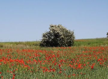 cyprus/troodos-mountains/attraction/athienou-flower-valley