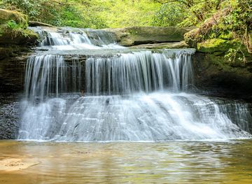 kentucky/natural-bridge-state-resort-park/attraction/creation-falls