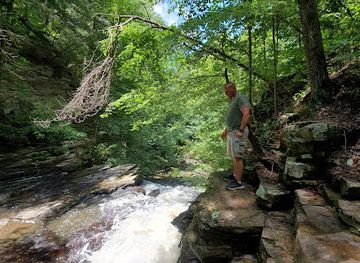alabama/cherokee-rock-village/attraction/pisgah-gorge-falls