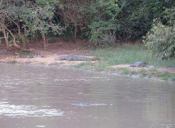 sri-lanka/wilpattu-national-park/attraction/kibulwala