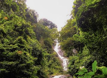 cameroon/edea/attraction/les-chutes-de-bidjouka