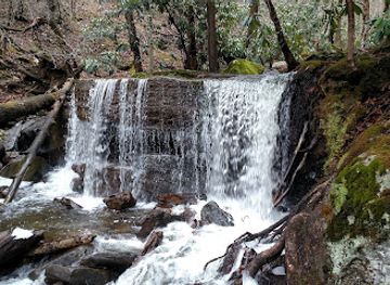 pennsylvania/allegheny-national-forest/attraction/table-falls