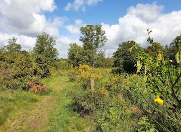 germany/taunus/attraction/riedelbacher-heide