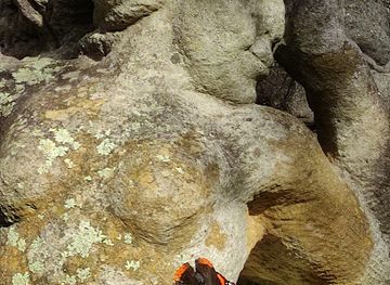 france/languedoc-roussillon/attraction/foret-enchantee-sculptures