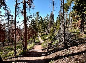 utah/bryce-canyon-city/attraction/bristlecone-pt-lp-trl