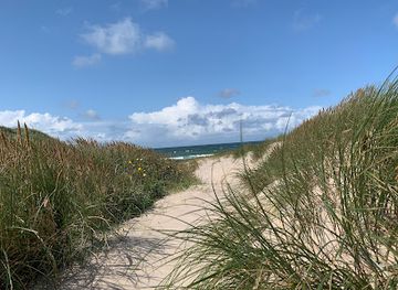 denmark/thy-national-park/attraction/bogsted-rende