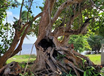 belize/orange-walk-district/attraction/miami-beach