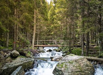 romania/retezat-national-park/attraction/cascadele-stanisoarei