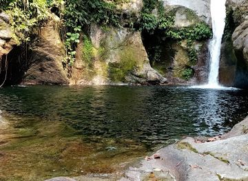 honduras/pico-bonito-national-park/attraction/tegucigalpita-ceiba
