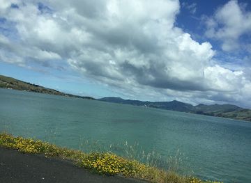 new-zealand/otago/attraction/otago-harbour-dunedin-city-nz