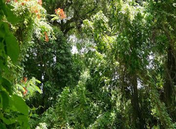 haiti/lac-azuei/attraction/national-d-haiti-botanical-garden