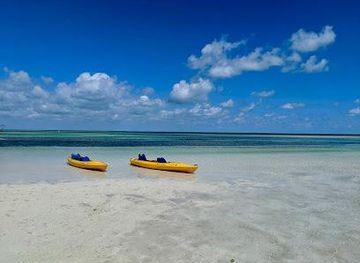 florida/key-west/attraction/lazy-dog-adventures