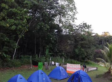 peru/pacaya-samiria-national-reserve/attraction/jungle-reps