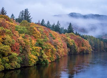 united-kingdom/scotland/attraction/faskally-forest